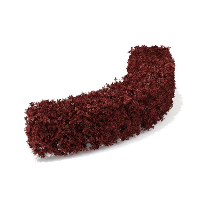 Curved Red Hedge 3D Model