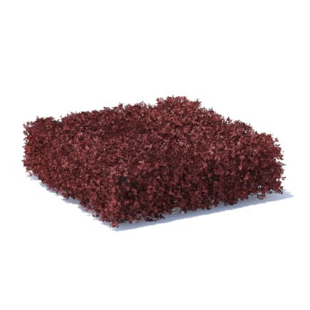 Square Red Hedge 3D Model