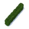 Straight Thuja Hedge 3D Model