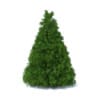 Hedges 3D Models Collection - Volume 89 - Image 35