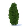 Hedges 3D Models Collection - Volume 89 - Image 36