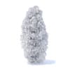 Thuja Shrub 3D Model