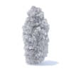 Thuja Shrub 3D Model