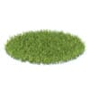 Wild Plants 3D Models Collection - Volume 91 - Image 2