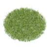 Grass 3D Model