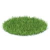 Wild Plants 3D Models Collection - Volume 91 - Image 3
