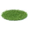 Grass 3D Model