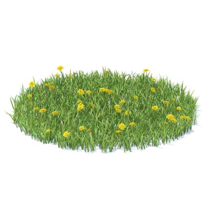 Grass with Sow-thistles 3D Model
