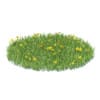 Grass with Sow-thistles 3D Model