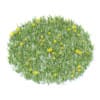 Grass with Sow-thistles 3D Model