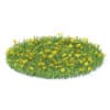 Wild Plants 3D Models Collection - Volume 91 - Image 5