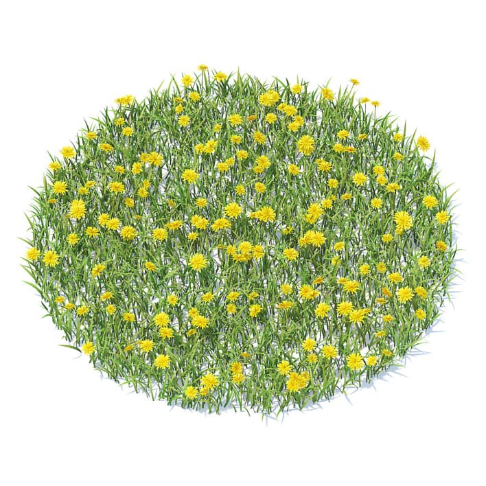Grass with Sow-thistles 3D Model