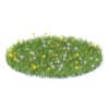 Wild Plants 3D Models Collection - Volume 91 - Image 6