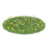Grass with Sow-thistles 3D Model