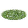 Wild Plants 3D Models Collection - Volume 91 - Image 7