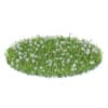 Grass with Sow-thistles 3D Model