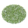 Grass with Sow-thistles 3D Model