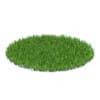 Wild Plants 3D Models Collection - Volume 91 - Image 8