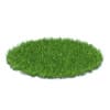 Short Grass 3D Model