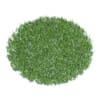 Short Grass 3D Model