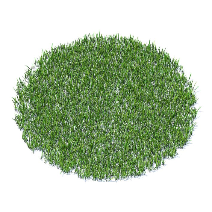 Short Grass 3D Model