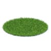 Wild Plants 3D Models Collection - Volume 91 - Image 9