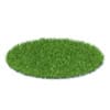 Short Grass 3D Model