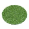 Short Grass 3D Model