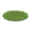 Wild Plants 3D Models Collection - Volume 91 - Image 10