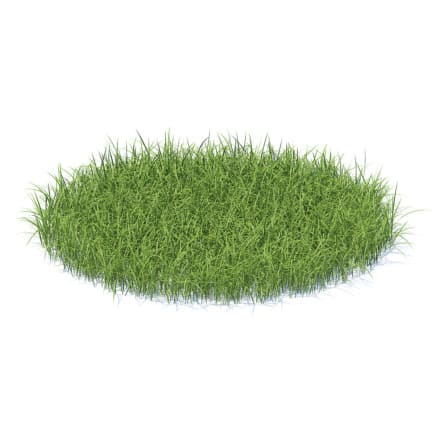 Tall Grass 3D Model