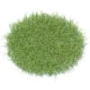 Tall Grass 3D Model
