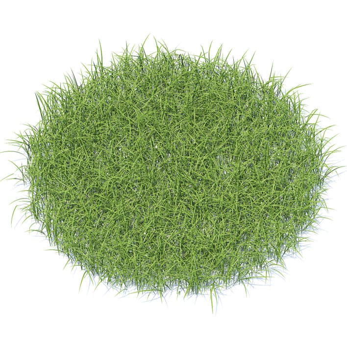 Tall Grass 3D Model
