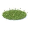 Wild Plants 3D Models Collection - Volume 91 - Image 11