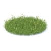 Flowering Grass 3D Model