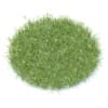 Flowering Grass 3D Model