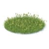 Wild Plants 3D Models Collection - Volume 91 - Image 12