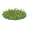 Flowering Grass 3D Model