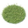 Flowering Grass 3D Model