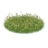 Wild Plants 3D Models Collection - Volume 91 - Image 13