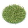 Flowering Grass 3D Model