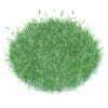 Flowering Grass 3D Model