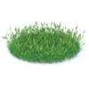 Wild Plants 3D Models Collection - Volume 91 - Image 15