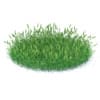 Flowering Grass 3D Model