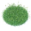 Flowering Grass 3D Model
