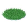 Wild Plants 3D Models Collection - Volume 91 - Image 16