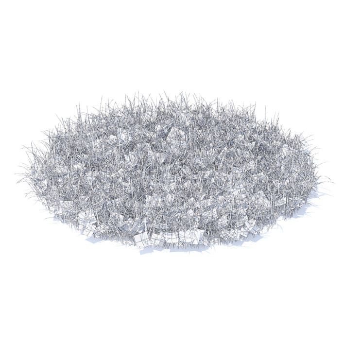 Grass with Clover 3D Model