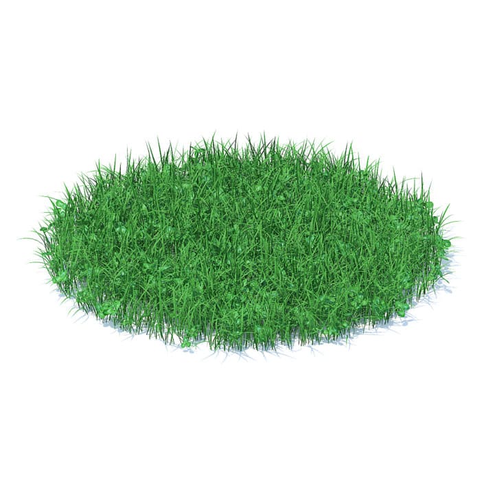 Grass with Clover 3D Model