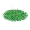 Wild Plants 3D Models Collection - Volume 91 - Image 17