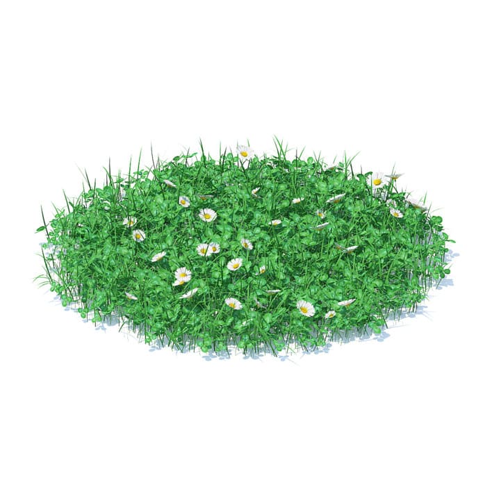 Grass with Clover and Daises 3D Model
