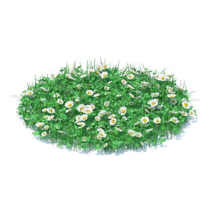 Grass with Clover and Daises 3D Model